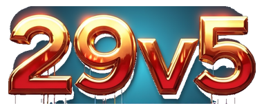 29v5 logo